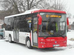 ziema-autobusas-babtuose