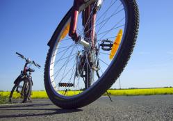 Ringaudų bendruomenės centras kviečia į dviračių žygį: Ringaudai – Zapyškis – Ringaudai